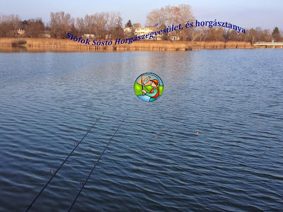 Siofok-Salt Lake Fishing Lake