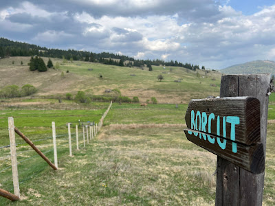 Izvor de apa minerală naturală-Izvorul Bucovinei