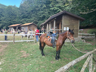 Area PicNic Piano di Pecora