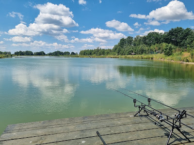 Borowa Łowisko Karpiowe