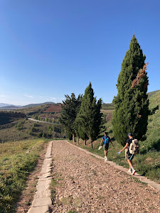 Camino de Santiago Francés
