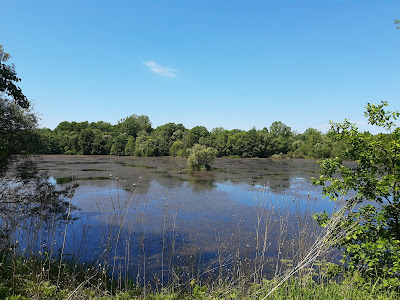 Łowisko Dyrczoniówka