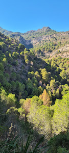 Sendero Inicio