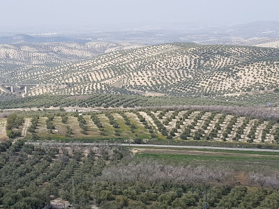 Paraje Natural Santa Ana