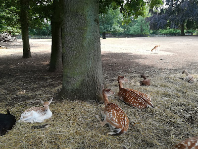 Tierpark Tannenbusch