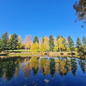 Angel Park Birkensee im Taunus Orlen