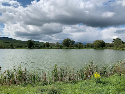 Rožkovianske rybníky