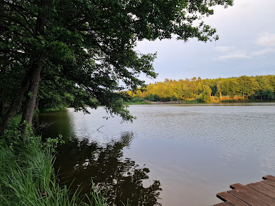 Łowisko Kłodzionko - sportowe łowisko wędkarskie - wędkowanie i noclegi - Kaszuby, Pomorskie
