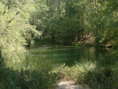 Area recreativa Tejerina