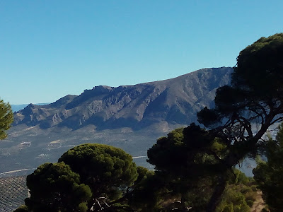 Pinar de Cánava