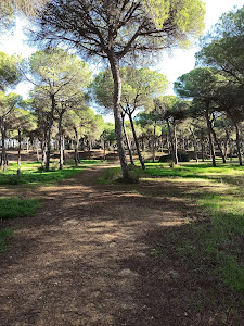 Periurbano Dunas de San Antón Park