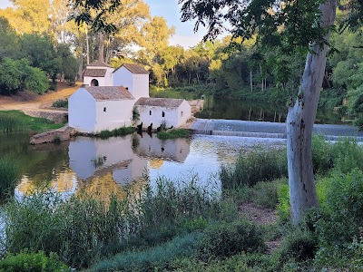 Molinos Alcalá