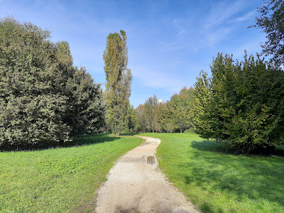 Oasi Verde
