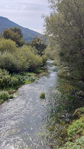 Ribnik