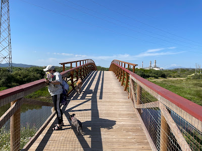Area recreativa Arroyo Madrevieja