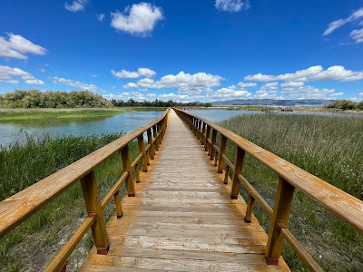 Tablas Daimiel
