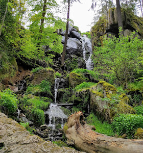 Auersbergkönig - Startpunkt der Wanderroute