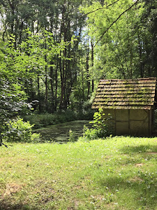 Schächerbachtour Homberg/Ohm