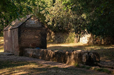 Área Recreativa Fuente del Valle