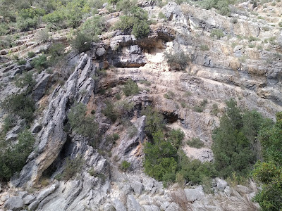 Pliegue del Río Borosa