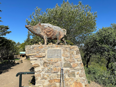 Mirador Del Cochino