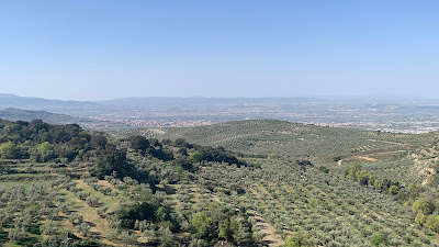 Mirador
