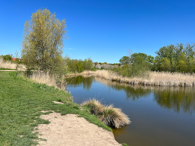 Teich am Saugraben