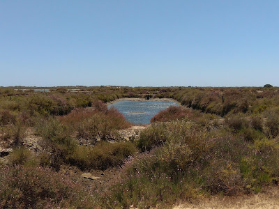 Mirador Caño del Tendal