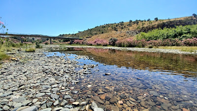 Parque de Merendas de Bentos
