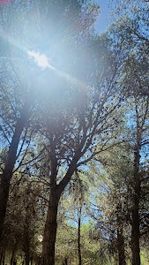 Cuesta Corvales