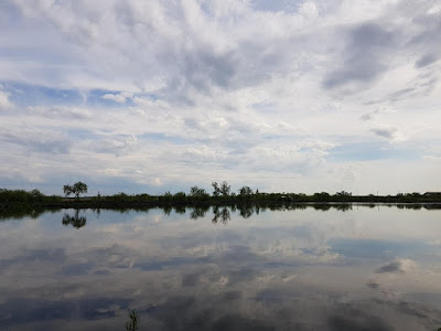 Delta Gruiului