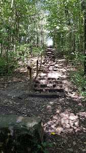 Werwolf-Wanderweg Bedburg