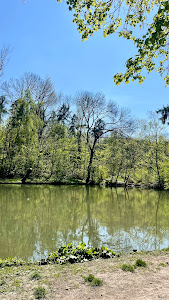 Rybník Bažantnice