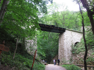 Cuha-szurdok