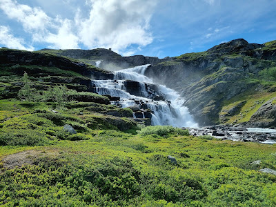 Skarvåga