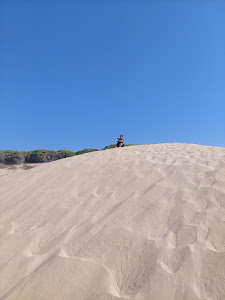 Mirador de la Duna de Bolonia