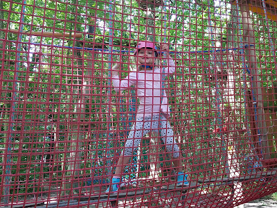Rope Park Rewal Gibbon