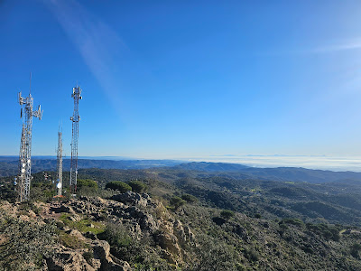 Torrearboles