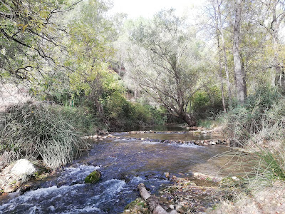 Nueva Ruta del Río Aguasmulas
