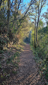 Sendero Castaño del Robledo - Galaroza (Ribera de Jabugo)