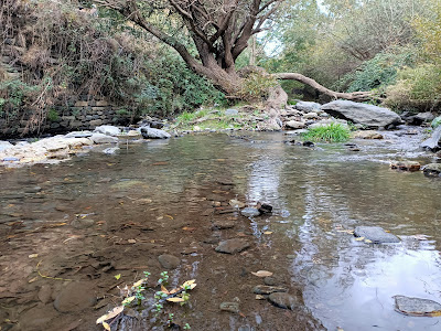 Rio Genil