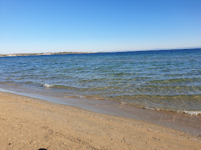 Beach "Gold wheelhouse"