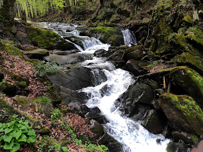 Szepit waterfall on a creek Hylaty