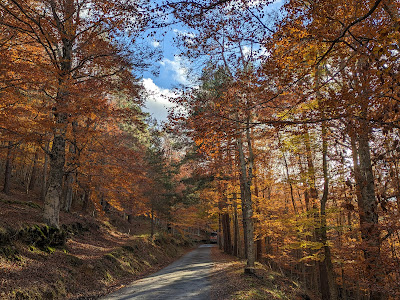 Parque Natural Sierra de Cebollera