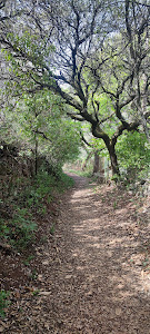 Sendero de la Molinilla