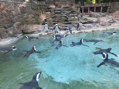 Straubing Zoo