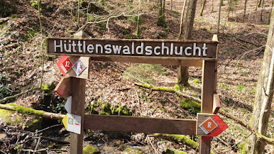 Hüttlenswaldschlucht