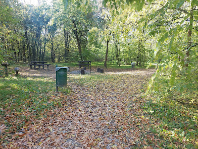 Akácfa utcai kiserdő