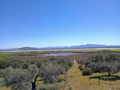 Mirador de Cantarranas