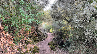 Sendero Rio Cañamares